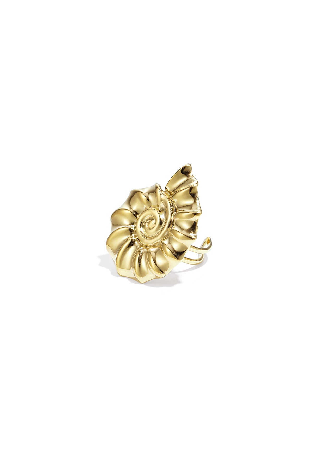 Statement-Ringe aus Edelstahl, Muschel-Design, lässig, Urlaub/Strand, schlichte Serie, Damenschmuck