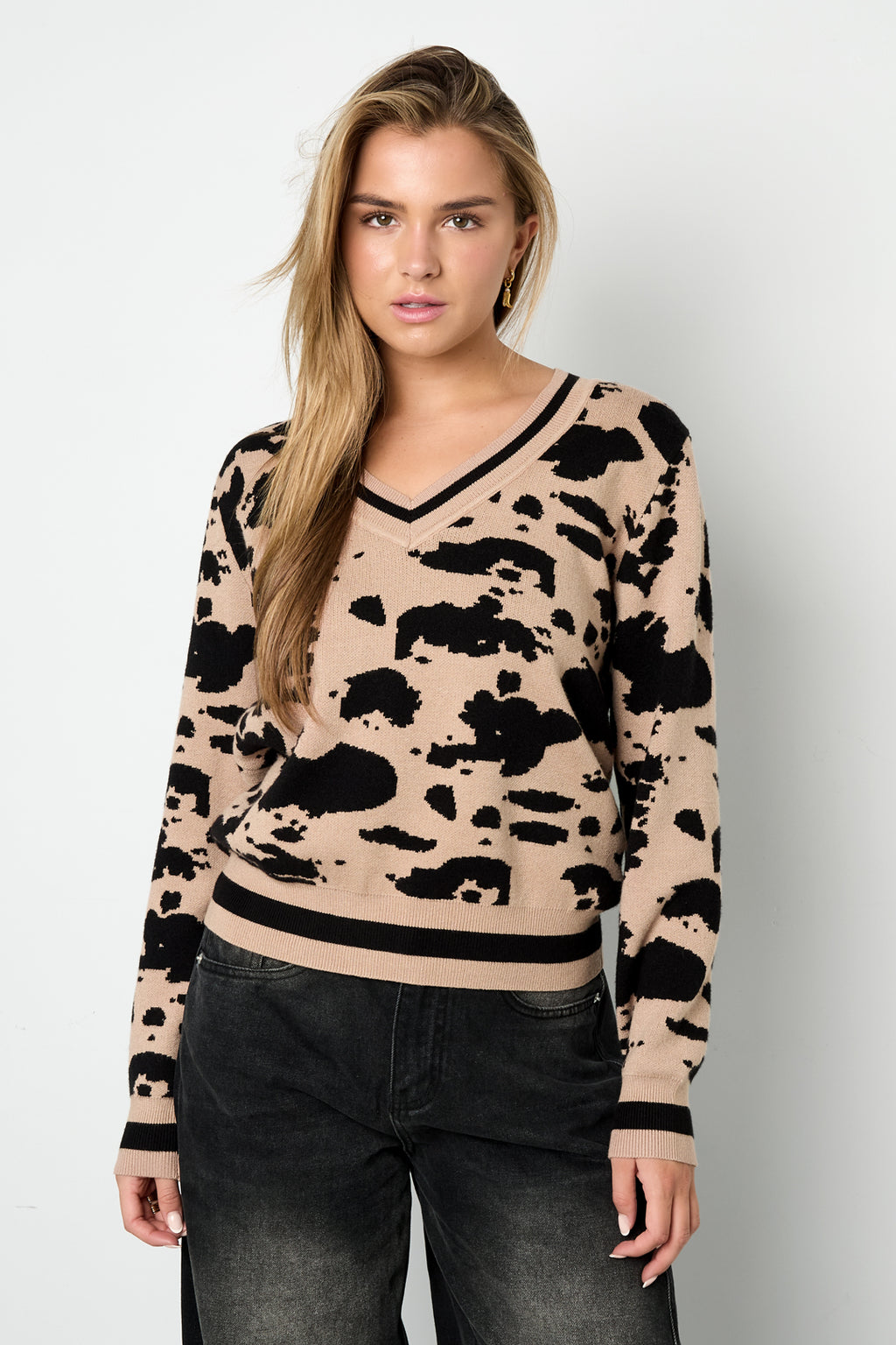 Strickware (einschließlich Häkel- und Wollstoffe) Leopardenmuster Damen V-Ausschnitt Pullover Herbst/Winter Casual