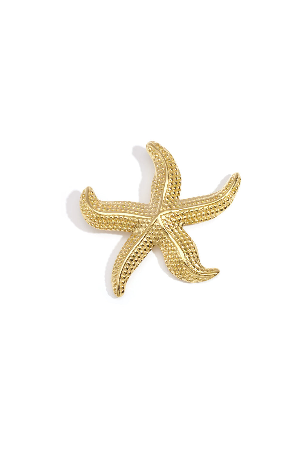 Edelstahl Broschen Seestern Casual Daily Simple Serie Damenschmuck