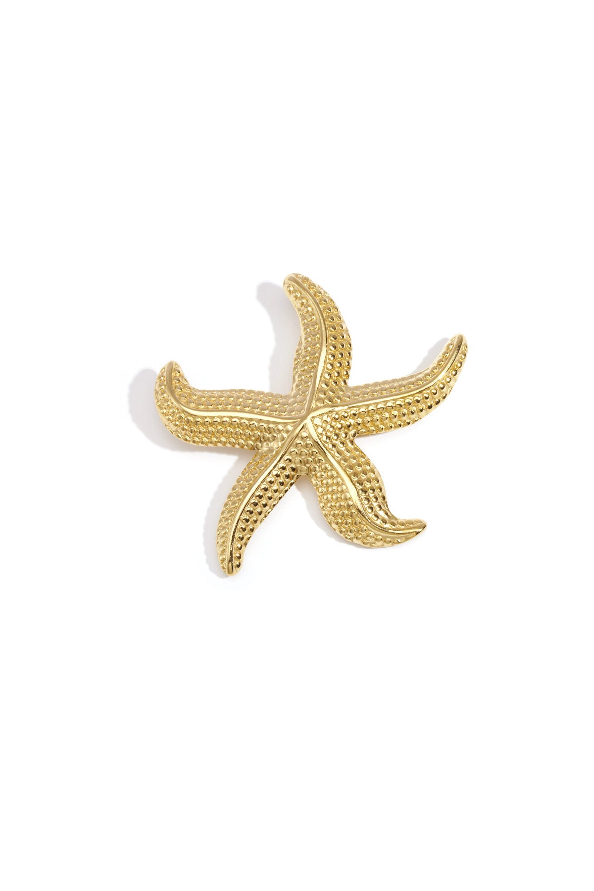 Edelstahl Broschen Seestern Casual Daily Simple Serie Damenschmuck